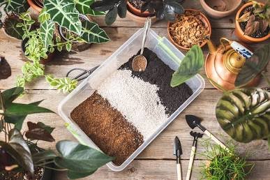 Custom potting mix showcasing the best soil for indoor plants with visible perlite, coco coir, and organic matter